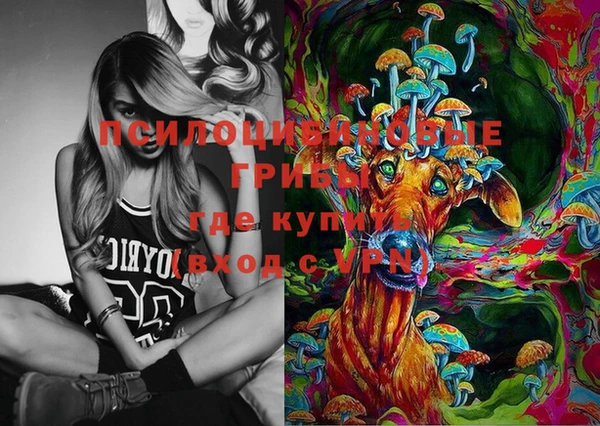 эйфоретик Горнозаводск