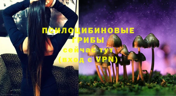 эйфоретик Горнозаводск