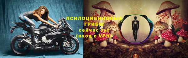 эйфоретик Горно-Алтайск