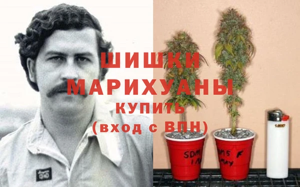 эйфоретик Горнозаводск