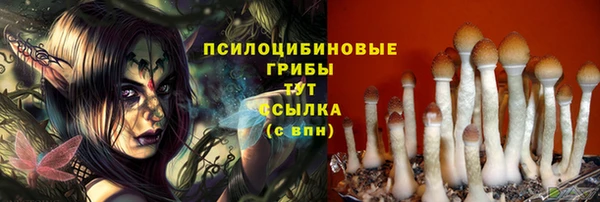 a pvp Горняк