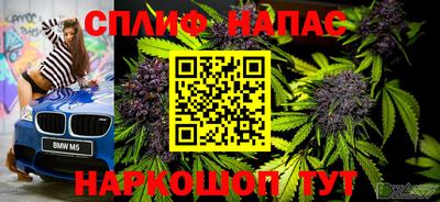 PSILOCYBIN Балахна