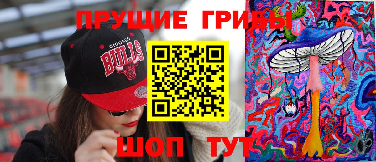 Псилоцибиновые грибы Cubensis Нурлат