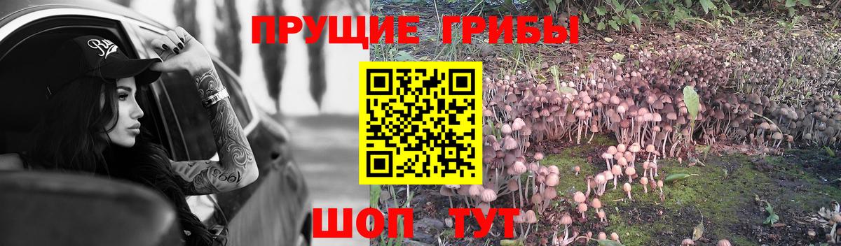 Галлюциногенные грибы Cubensis Нурлат