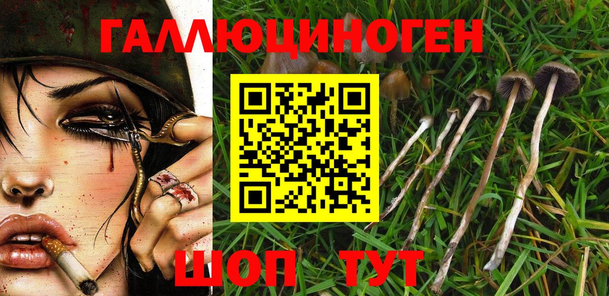 Псилоцибиновые грибы мухоморы  Нурлат 